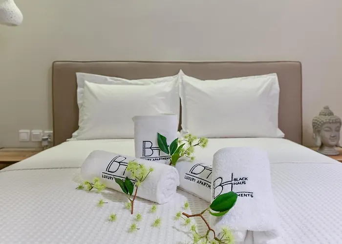 Apartamento Blackhaus *