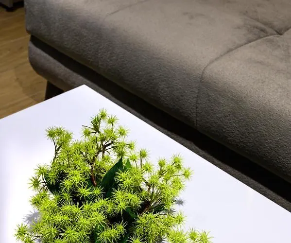 Blackhaus Apartamento *