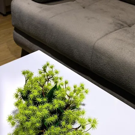 Blackhaus Apartment *